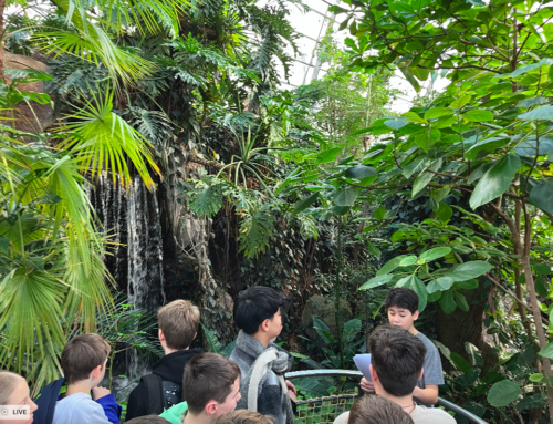 Ausflug in den tropischen Regenwald – wir haben es geschafft!