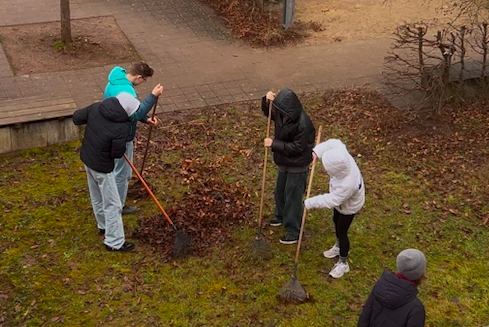 Projekt Grünpflege 2025 PDG 1