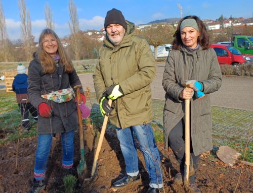 PDG unterstützt Pflanzaktion Tiny-Forest