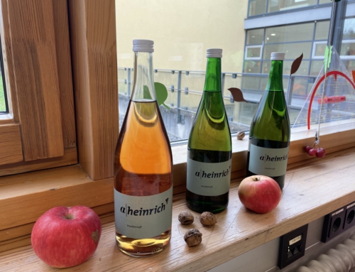 Weinbauprojekt am PDG: Traubenlese beim Weingut Heinrich