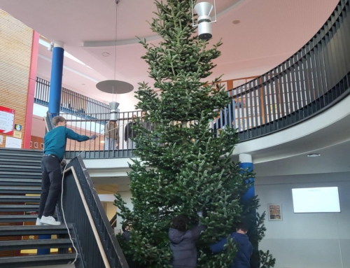 It’s beginning to look a lot like Christmas…