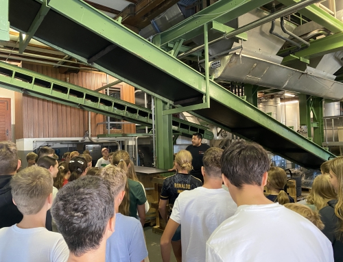 Von der Traube bis zum Etikett – die 6. Klassen entdecken den Weinbau